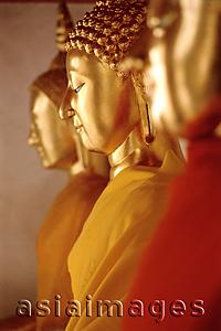 Asia Images Group - Buddha statues in a row, sideview