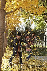 Asia Images Group - Young boy and girl playing in the Autumn leaves