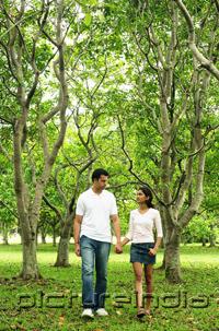 PictureIndia - Couple walking in park, holding hands